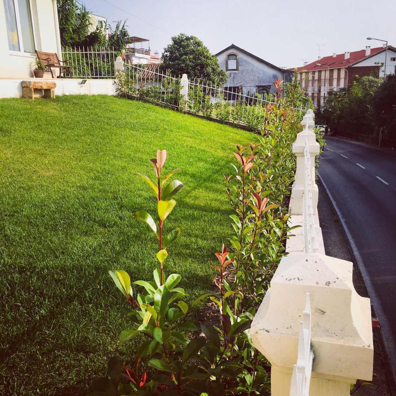 Coimbraameias Exterior photo